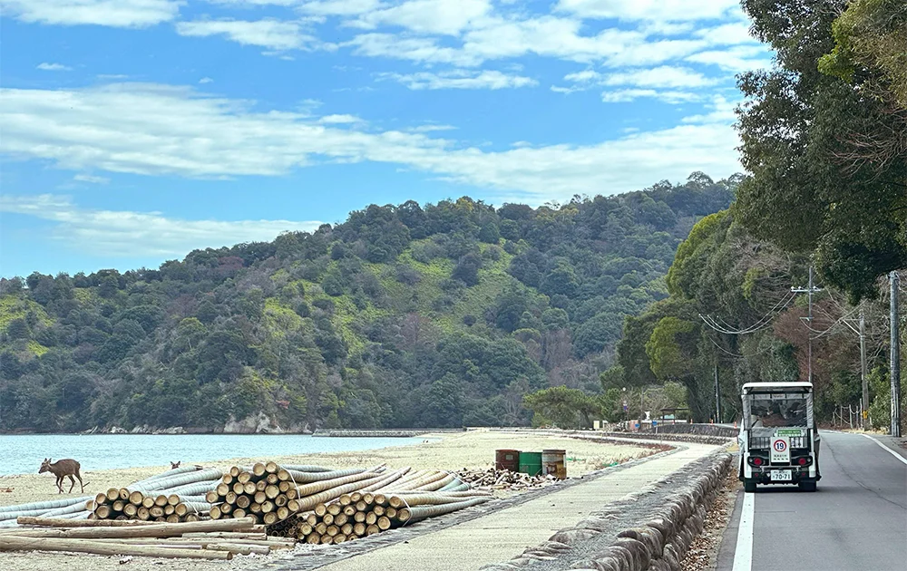 Achieving a zero carbon city