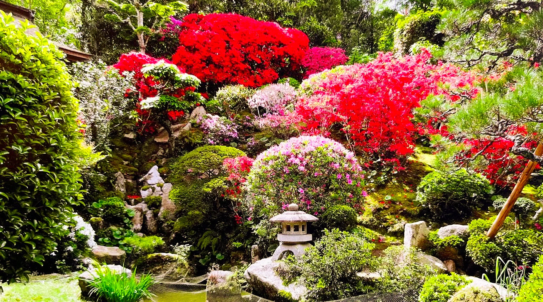 正月には神官六家が上卿屋敷に集合。雑煮を食べて巡拝に向かった。