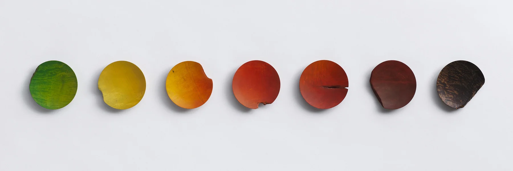 下村氏作 紅葉の小皿